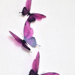 4 Plum Damson Flying 3D Butterflies Wall Mounted Butterfly Art Home Accessories Removable Decorations - thumbnail 3