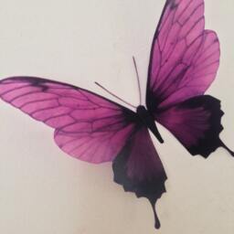 4 Plum Damson Flying 3D Butterflies Wall Mounted Butterfly Art Home Accessories Removable Decorations - thumbnail 4