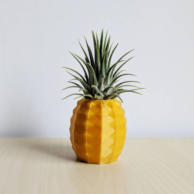 Pineapple Air Plant Holder As A Gift For Her, Him, Gold Airplant, Printapot Planter, Container - image 1