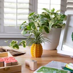 Pineapple Air Plant Holder As A Gift For Her, Him, Gold Airplant, Printapot Planter, Container - thumbnail 3