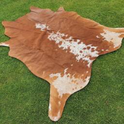 Cowhide Rug Brown & White, Brindle Cow Skin Rug, Leather Hide Carpet For Living Room, Large Home Decor Floor Area Exotic Upholstery - thumbnail 3