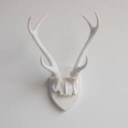 Faux Taxidermy Antler Rack Trophy Mount - Wall Decor White Ht0101 - thumbnail 1