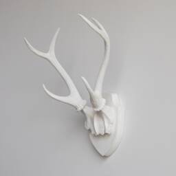 Faux Taxidermy Antler Rack Trophy Mount - Wall Decor White Ht0101 - thumbnail 2