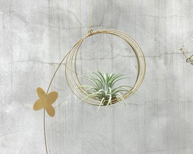 Air Plant Hanger, Kinetic Mobile, Hanging Tillandsia Plants, Mobile For Air Plant - image 1