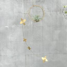 Air Plant Hanger, Kinetic Mobile, Hanging Tillandsia Plants, Mobile For Air Plant - thumbnail 2