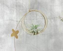 Air Plant Hanger, Kinetic Mobile, Hanging Tillandsia Plants, Mobile For Air Plant - thumbnail 1