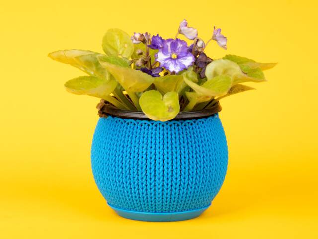 Knit Planter Container 3.25 Inch Small - image 1