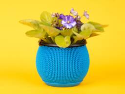 Knit Planter Container 3.25 Inch Small - thumbnail 1