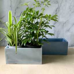 Modern Concrete Planter Indoor/Outdoor Pot With Drainage For Cacti & Succulents - thumbnail 4