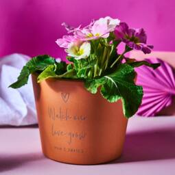 Personalised Engagement Terracotta Plant Pot - thumbnail 1