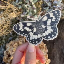 Marbled White Spring Butterfly Wooden Decoration Hand-Illustrated Birch Ornament - thumbnail 4