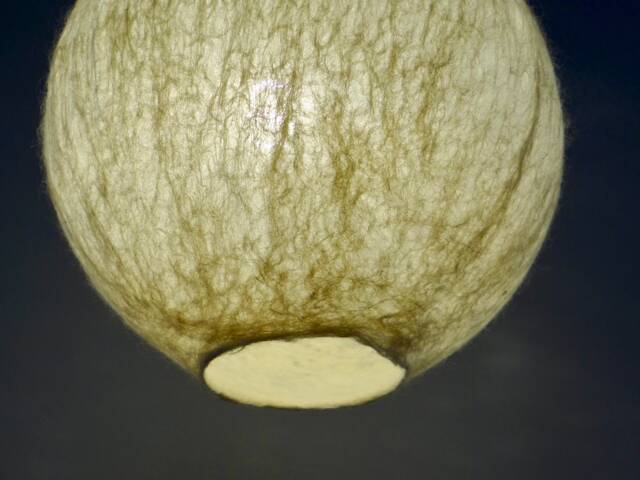 Handfelted Pendant Lamp, Sphere, Felt Felted Natural Warm White Hanging Wool Light. Raw Lamp Made To Order - image 1