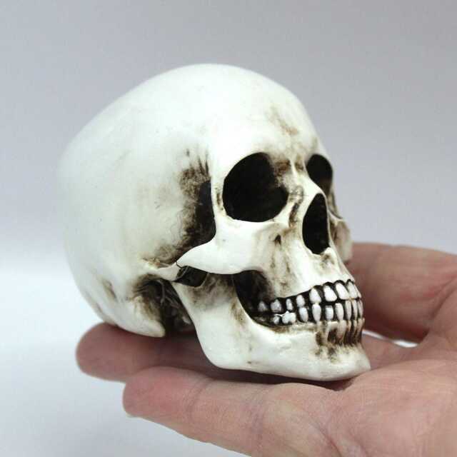Handmade Anatomically Correct Human Skull Gothic Collector Gift - image 1