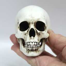 Handmade Anatomically Correct Human Skull Gothic Collector Gift - thumbnail 2