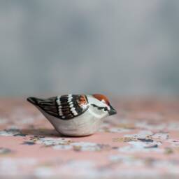 Chipping Sparrow Miniature - thumbnail 2