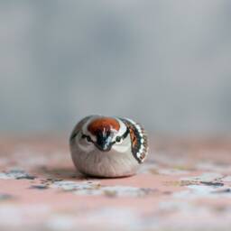 Chipping Sparrow Miniature - thumbnail 3