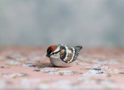 Chipping Sparrow Miniature - thumbnail 1
