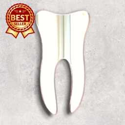 Tooth Acrylic Mirror Wall Art - Many Size & Colour Options - Bespoke Items Made