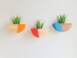 Japandi Wall Planter Indoor Wood 3 Pieces Set, Hanging Planters For Plants, Air Plant Live Holder Wall, Christmas Gift, Floral Decor