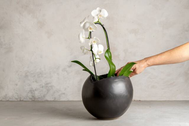 xxl Black Ceramic Egg-Shaped Planter Pot, Modern Large Indoor Planter, Handmade Pottery - image 1