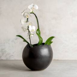 xxl Black Ceramic Egg-Shaped Planter Pot, Modern Large Indoor Planter, Handmade Pottery - thumbnail 2