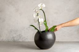 xxl Black Ceramic Egg-Shaped Planter Pot, Modern Large Indoor Planter, Handmade Pottery - thumbnail 1