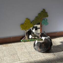 Large Wall Mirror, Decorative Mirror 2 Trees, Climbing Cats & Peeking Rabbit, Cat Home Decor, Boho Wall Mirror, Tree Art, Lover - thumbnail 4