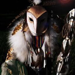 Barn Owl Manitou - thumbnail 4