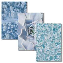 Canvas Art Set Of 3 - Winter Forest Blue Flower Water Surface, Large Wall Art, Plants & Flowers Hanging Piece - thumbnail 2