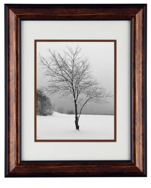 Solitary Winter Tree Wall Art, Framed Black & White Photography, Strong Lone Snow Scene, Secret Paradise Nature Print - image 1