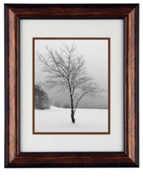 Alone in Winter - Framed Tree Landscape Black & White New England Photography