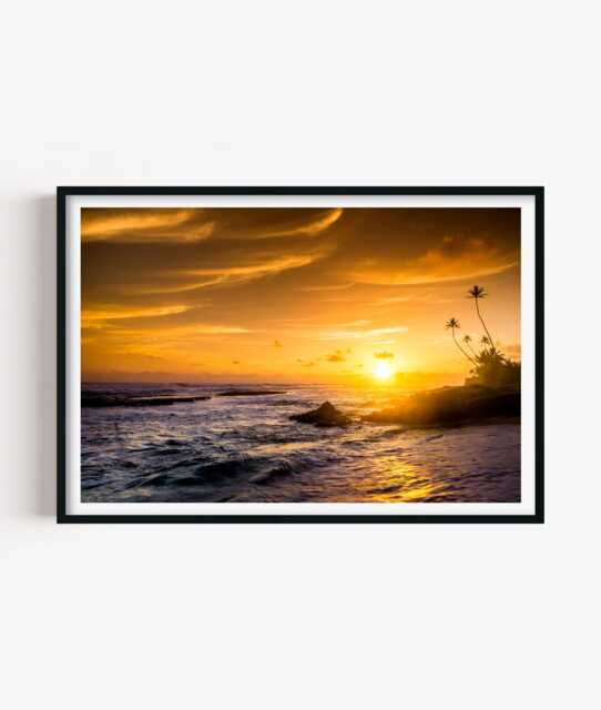 Palm Tree Beach Sunset Print, Coastal Photography Wall Art, Tropical Seaside Decor - image 1