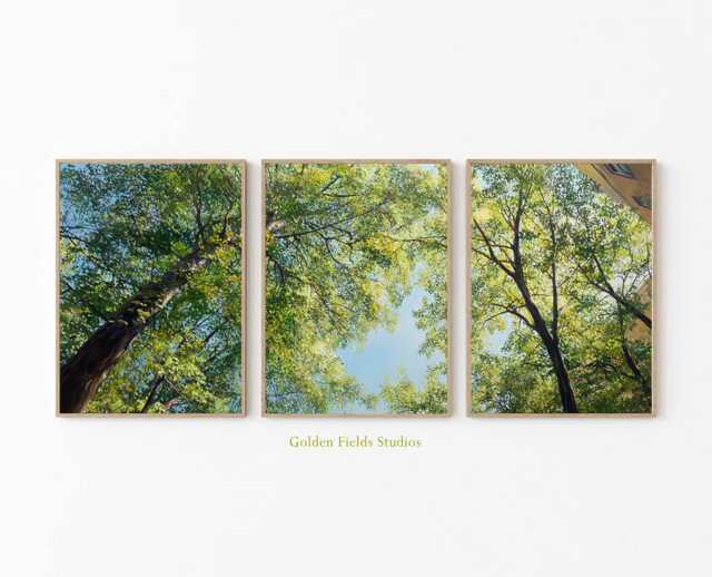 Green Tree Canopy Wall Art Set Of 3 Modern Botanical Prints - image 1
