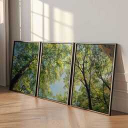 Green Tree Canopy Wall Art Set Of 3 Modern Botanical Prints - thumbnail 2