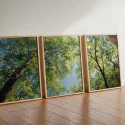 Green Tree Canopy Wall Art Set Of 3 Modern Botanical Prints - thumbnail 3