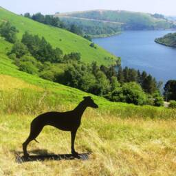 Metal Greyhound Garden Statue - Black Whippet Silhouette, Outdoor Decoration - thumbnail 2