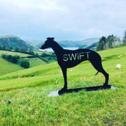 Metal Greyhound Garden Statue - Unique Outdoor Black Whippet Silhouette Self Standing Sighthound Sculpture Outside Ornament Decoration