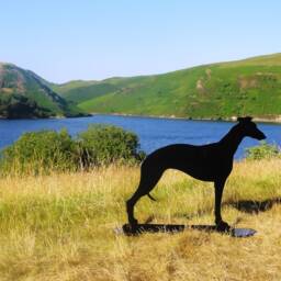 Metal Greyhound Garden Statue - Black Whippet Silhouette, Outdoor Decoration - thumbnail 3