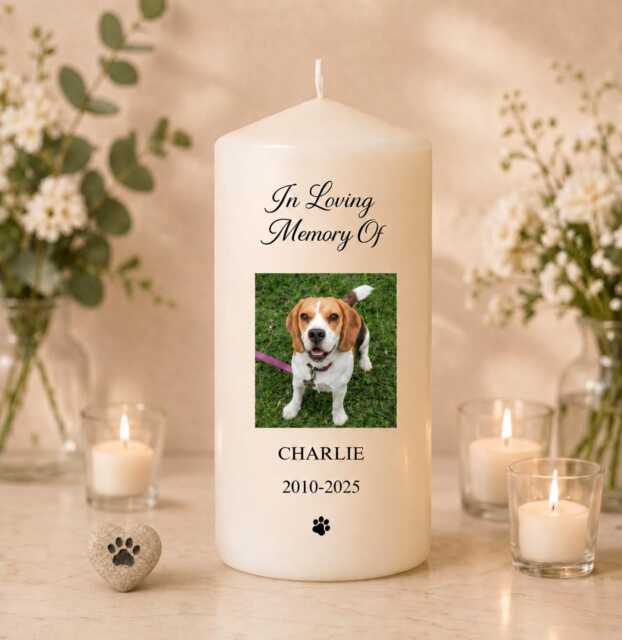 Memorial Dog Candle - Pet Photo in Memory Of Personalized Remembrance Gift Tribute Loss Any Unscented - image 1