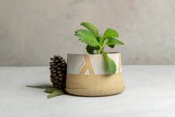Handmade Ceramic Succulent Planter Pot, Rustic Stoneware - thumbnail 1