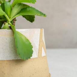 Handmade Ceramic Succulent Planter Pot, Rustic Stoneware - thumbnail 3