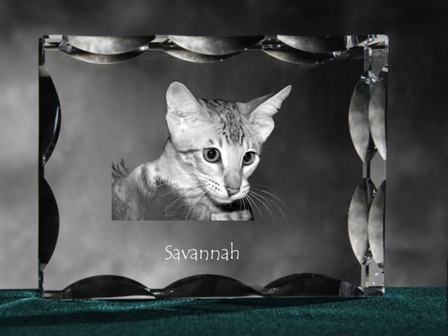Savannah Cat, Cubic Crystal With Souvenir, Decoration, Limited Edition, Collection - image 1