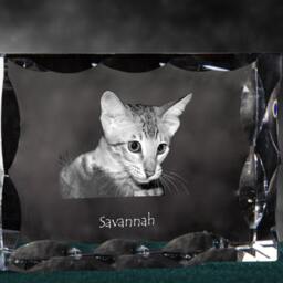 Savannah Cat, Cubic Crystal With Souvenir, Decoration, Limited Edition, Collection - thumbnail 3