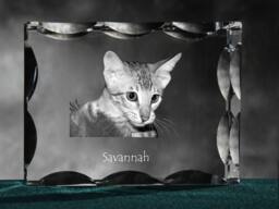 Savannah Cat, Cubic Crystal With Souvenir, Decoration, Limited Edition, Collection - thumbnail 1