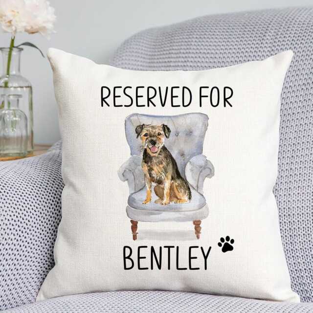 Border Terrier Cushion - Dog Related Gift Reserved For Dog Cushion Gift - image 1