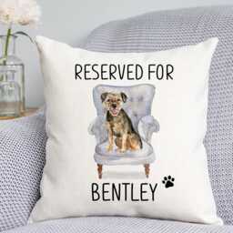 Border Terrier Cushion - Dog Related Gift Reserved For Dog Cushion Gift