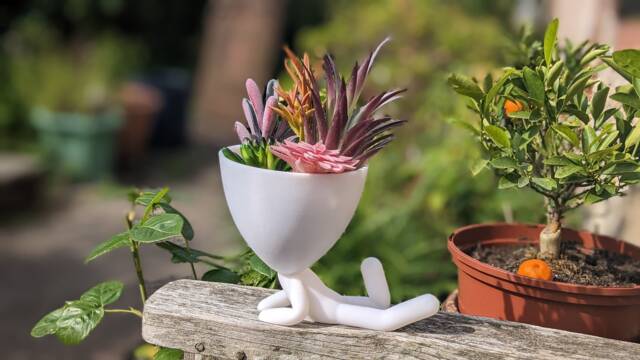 Robert Style Succulent Planter - 3D Printed People Plant Pot - image 1