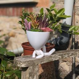 Robert Style Succulent Planter - 3D Printed People Plant Pot - thumbnail 2