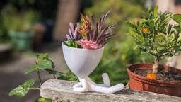 Robert Style Succulent Planter - 3D Printed People Plant Pot - thumbnail 1