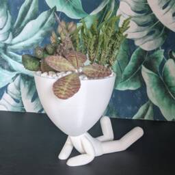 Robert Style Succulent Planter - 3D Printed People Plant Pot - thumbnail 3